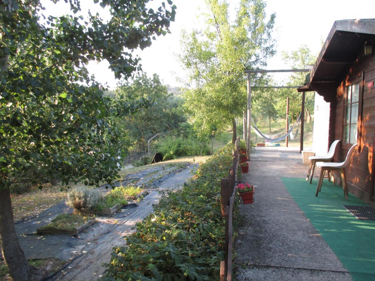 Bungalow "A Choupana" - Quinta Da Carvoica - Vale Pradinhos Vale de Pradinhos Luaran gambar