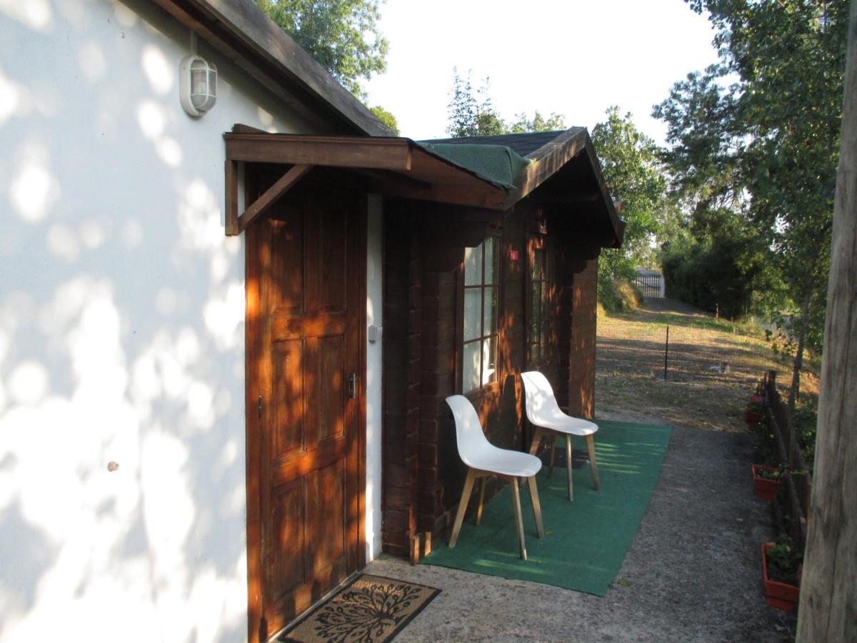 Bungalow "A Choupana" - Quinta Da Carvoica - Vale Pradinhos Vale de Pradinhos Luaran gambar
