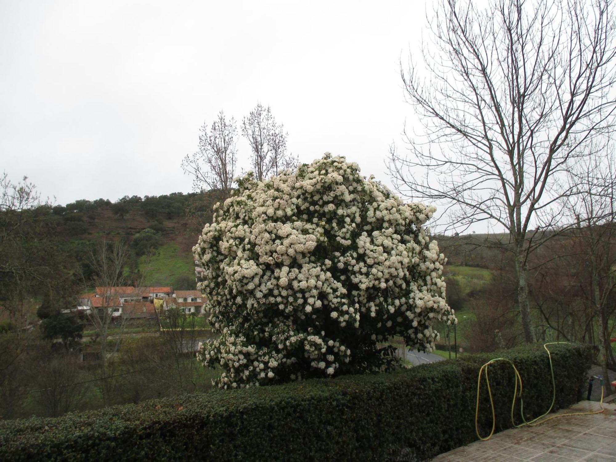 Bungalow "A Choupana" - Quinta Da Carvoica - Vale Pradinhos Vale de Pradinhos Luaran gambar